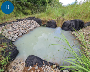 A long shot of a grass lawn

AI-generated content may be incorrect.