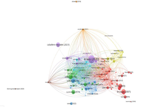 Network visualization for coupling documents.