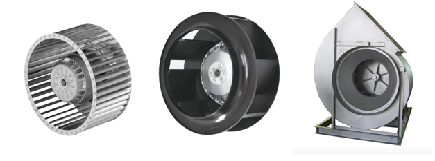 Un reloj de pulsera
Descripción generada automáticamente con confianza baja